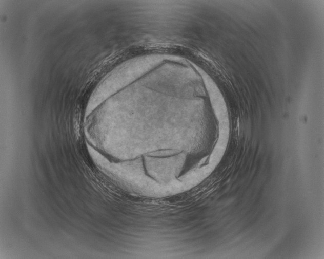 X0000081611348200702121604