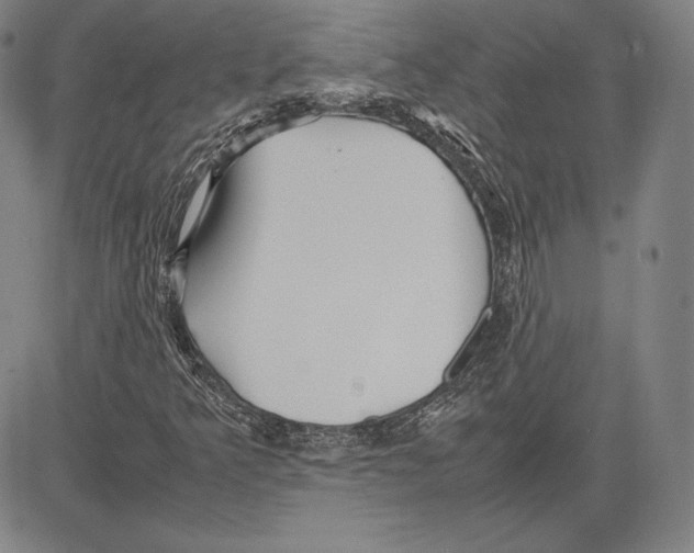 X0000081611349200702121604