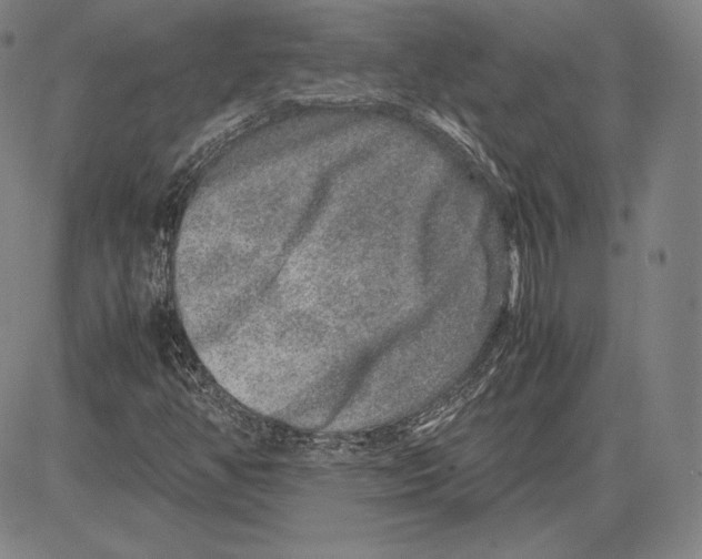 X0000081611350200702121604