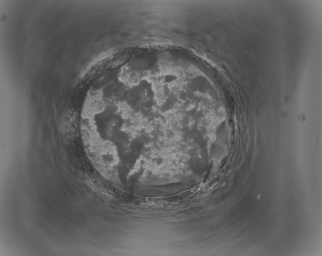 X0000081611351200702121604