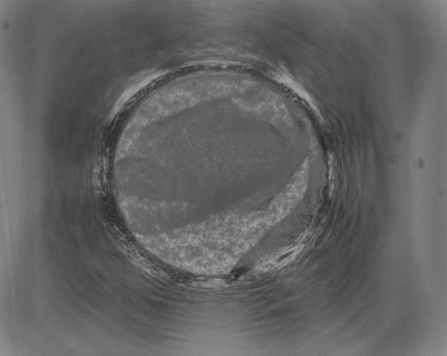 X0000081611352200702121604