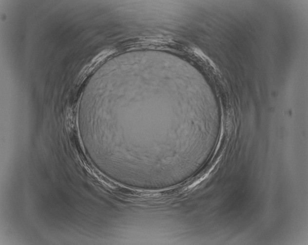 X0000081611353200702121604