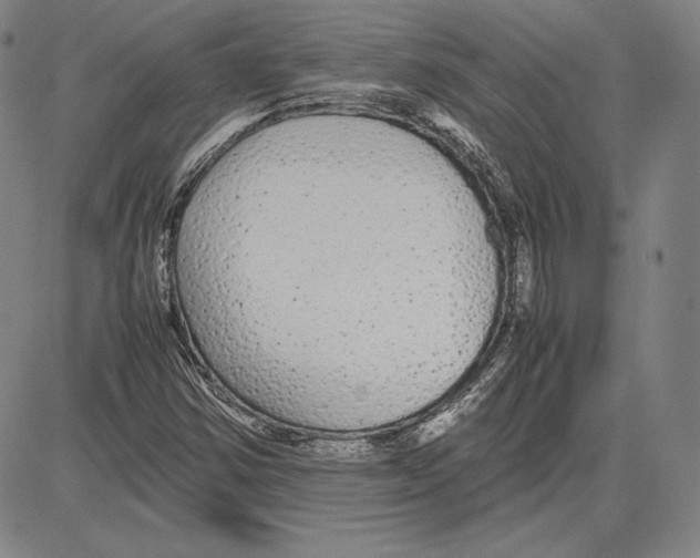 X0000081611354200702121604