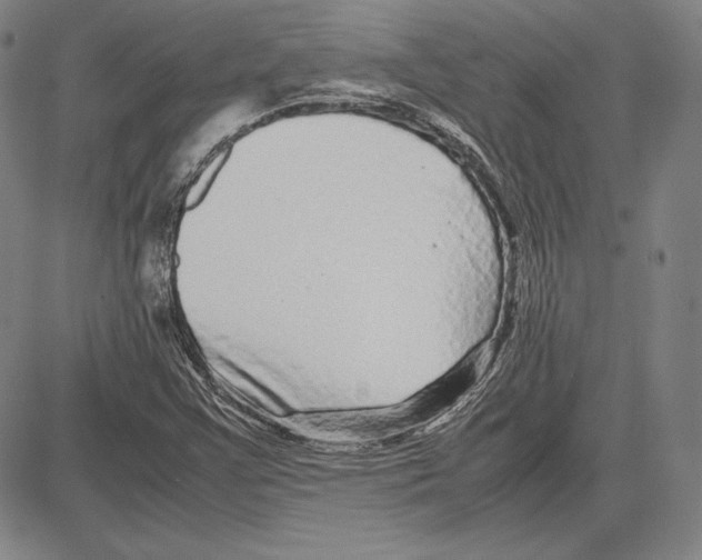 X0000081611355200702121604