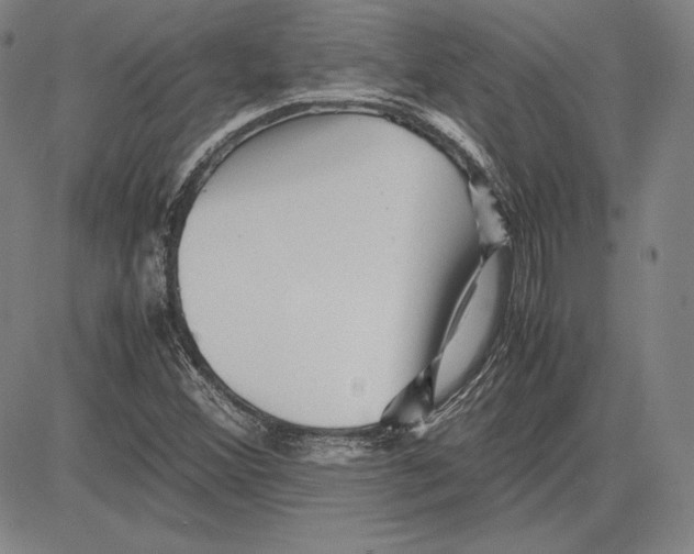 X0000081611356200702121604