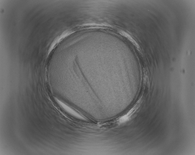 X0000081611357200702121604