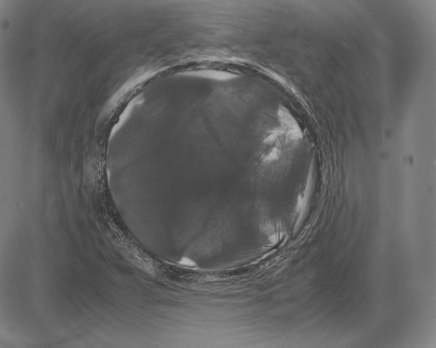 X0000081611359200702121604