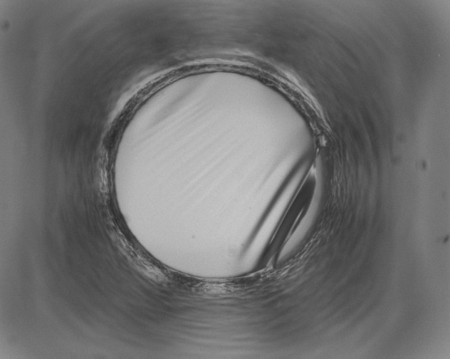 X0000081611360200702121604