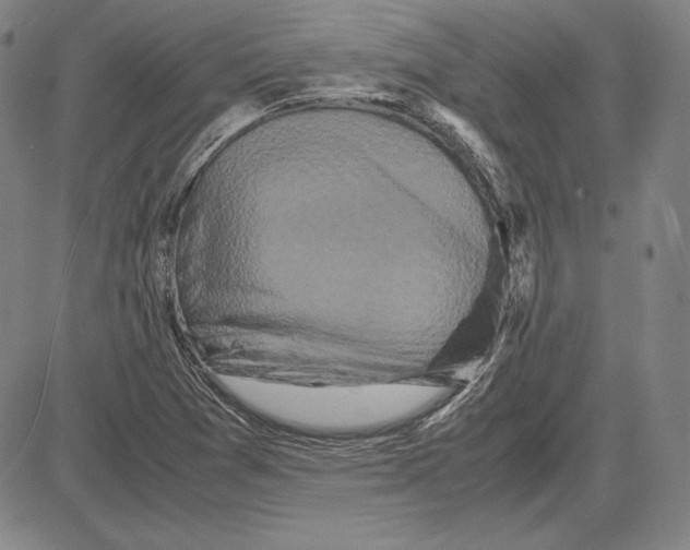 X0000081611361200702121604