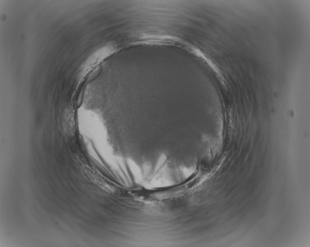 X0000081611362200702121604