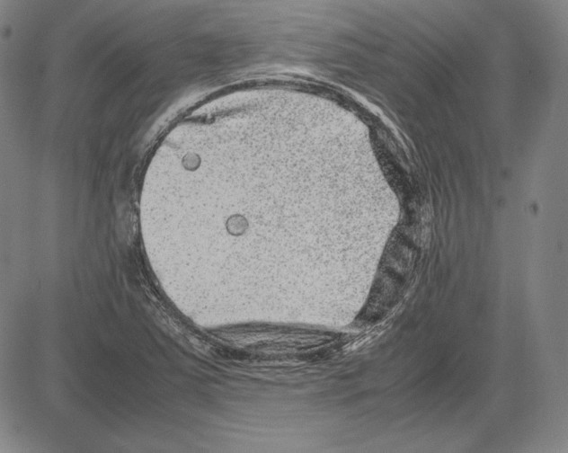 X0000081611363200702121604