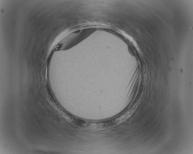 X0000081611365200702121604