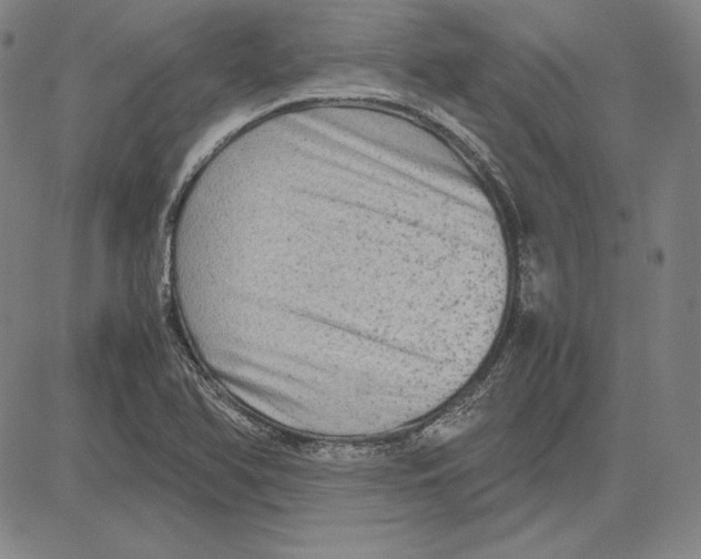 X0000081611366200702121604