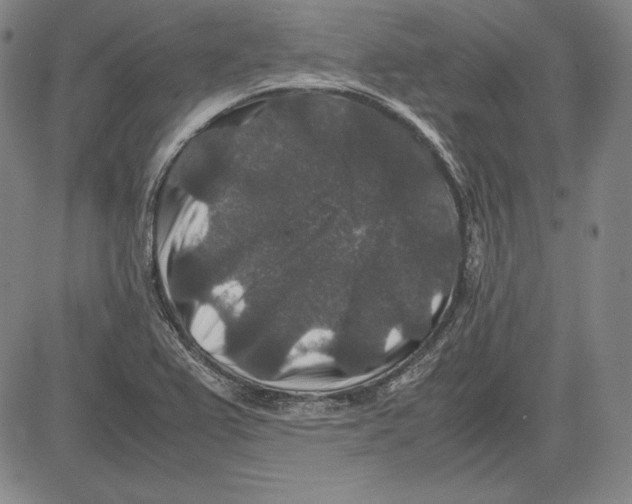 X0000081611367200702121604