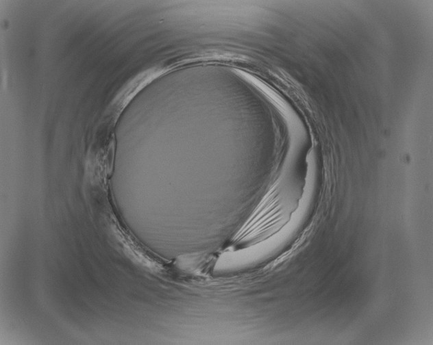 X0000081611369200702121604