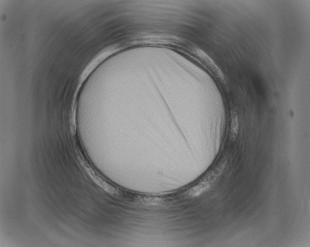 X0000081611370200702121604