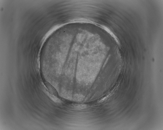 X0000081611372200702121604