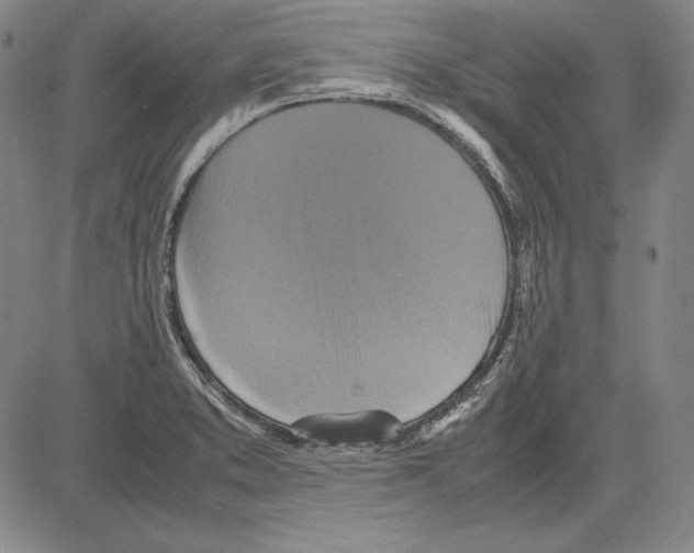 X0000081611373200702121604