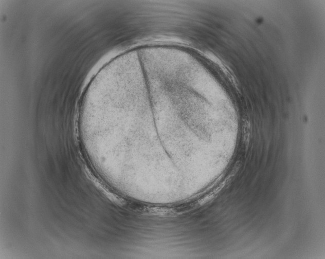 X0000081611374200702121604