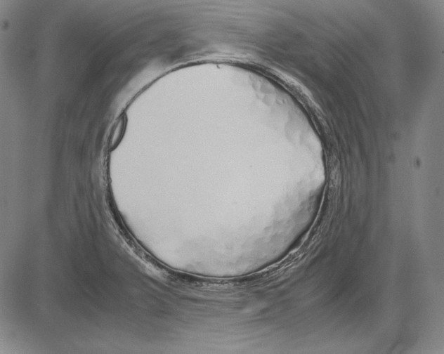 X0000081611375200702121604