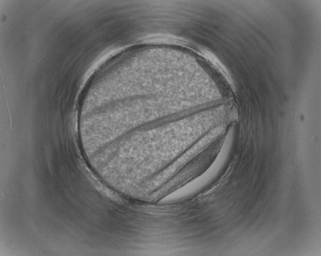 X0000081611376200702121604