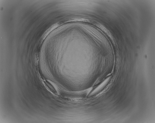 X0000081611377200702121604