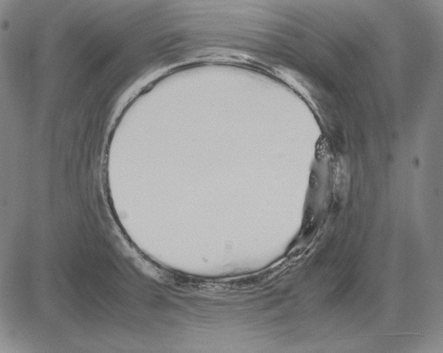 X0000081611379200702121604