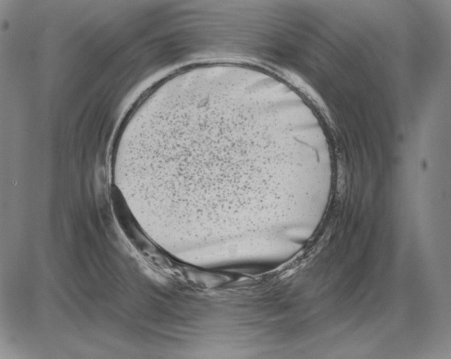 X0000081611380200702121604