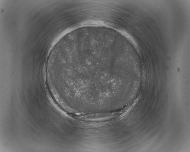 X0000081611382200702121604