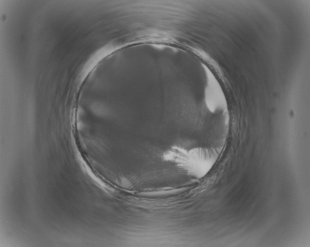 X0000081611383200702121604