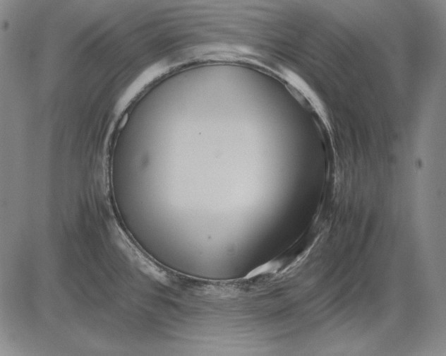 X0000081611384200702121604