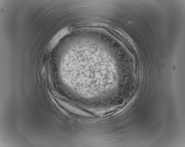 X0000081611385200702121604