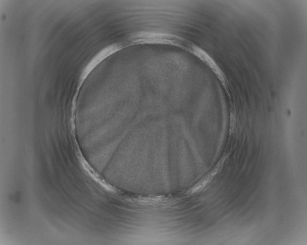 X0000081611386200702121604