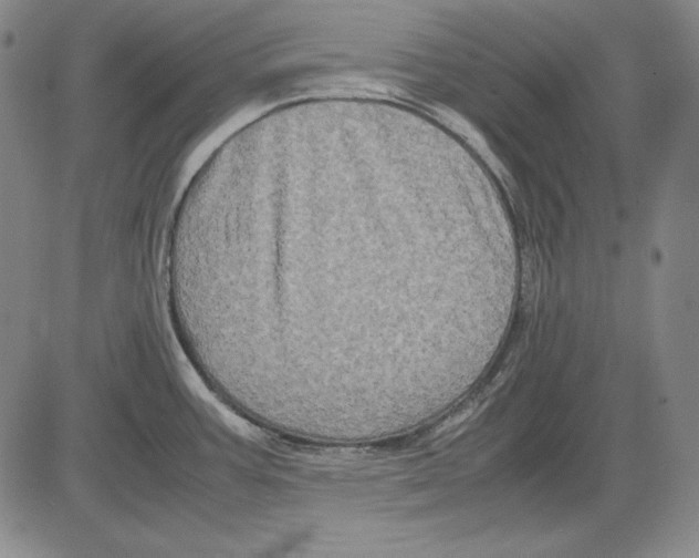 X0000081611387200702121604