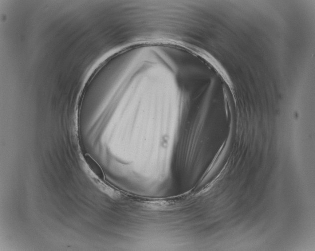 X0000081611388200702121604