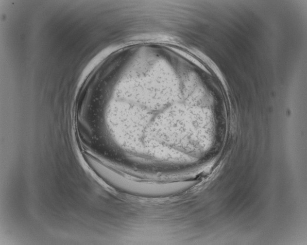 X0000081611389200702121604