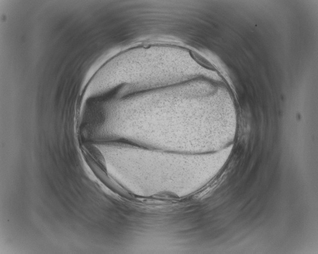 X0000081611390200702121604