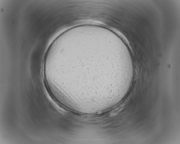 X0000081611391200702121604