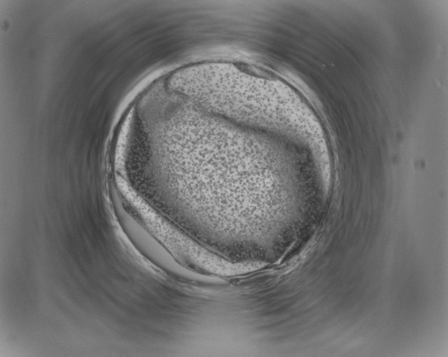 X0000081611392200702121604