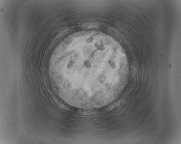 X0000081611393200702121602