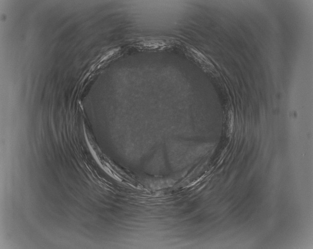 X0000081611394200702121602