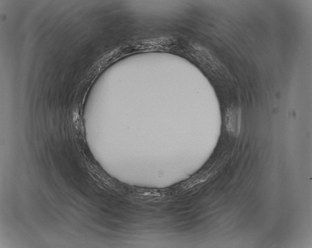 X0000081611395200702121602