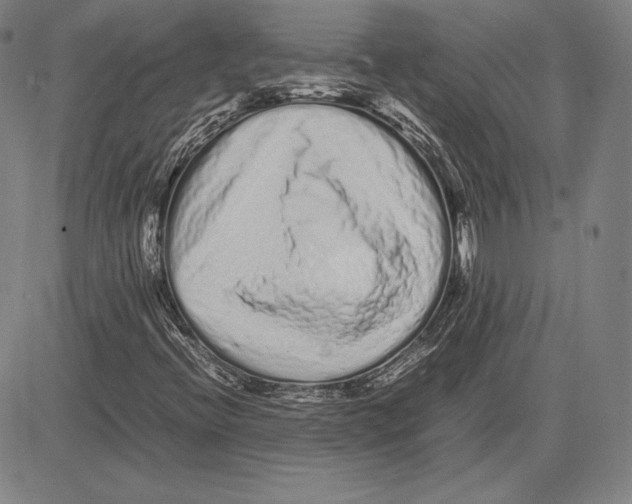 X0000081611396200702121603