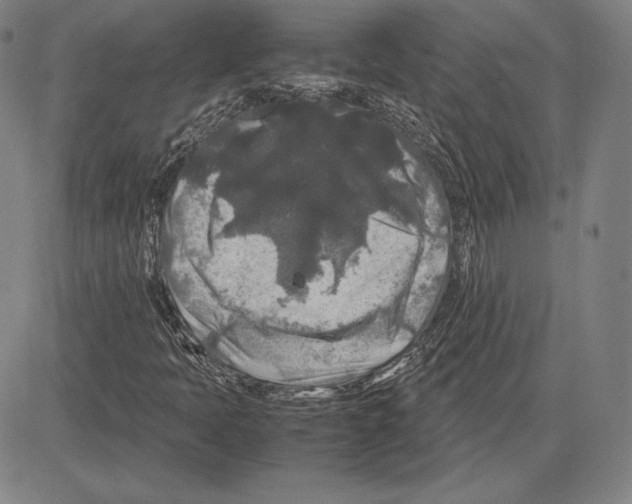 X0000081611397200702121603