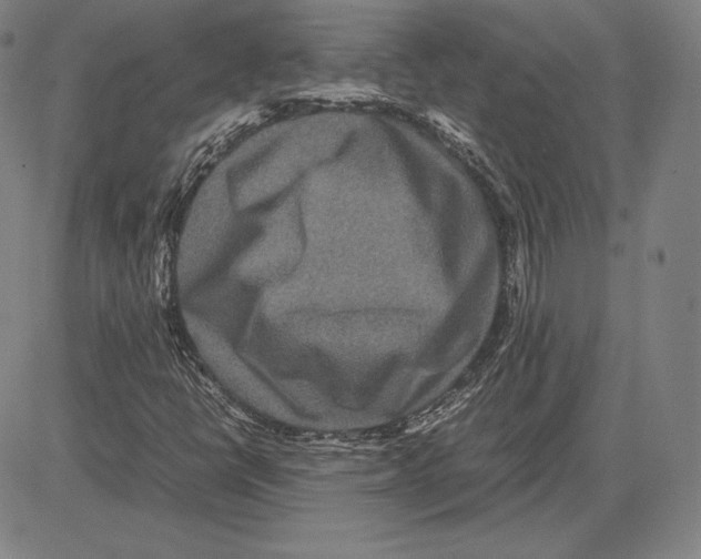 X0000081611398200702121603