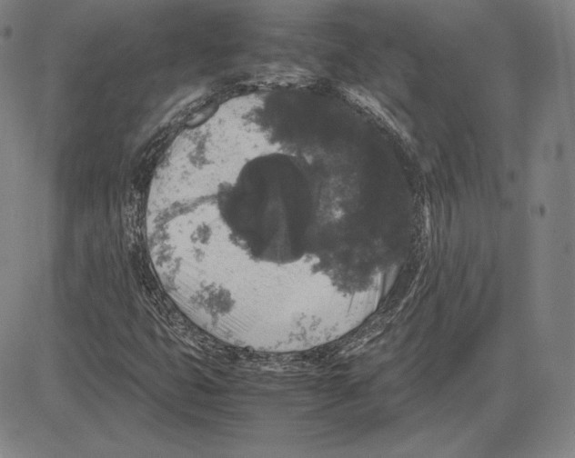 X0000081611399200702121603