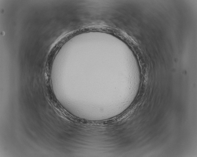 X0000081611400200702121603