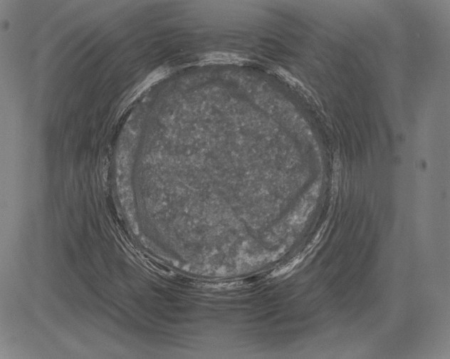 X0000081611401200702121603