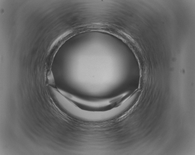 X0000081611402200702121603