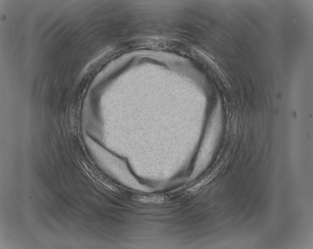 X0000081611403200702121603